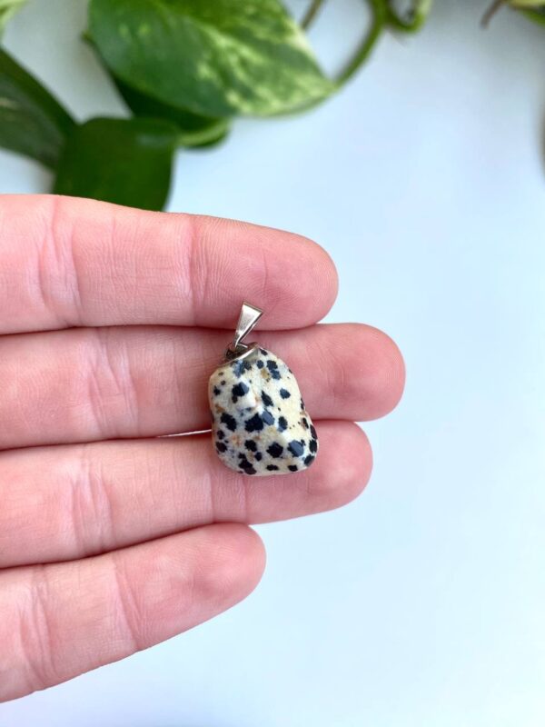 Jaspe Dalmata