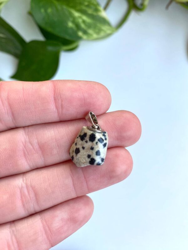 Jaspe Dalmata